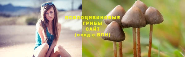 марки nbome Козловка