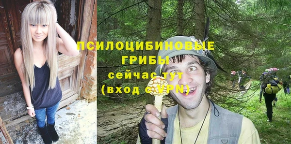 mdpv Кодинск