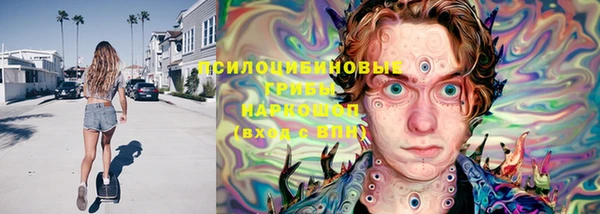 гидра Краснослободск