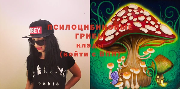 mdpv Кодинск
