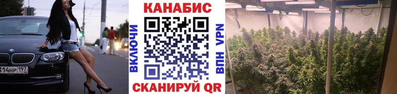 купить наркоту  kraken рабочий сайт  Конопля сатива  Колпашево 